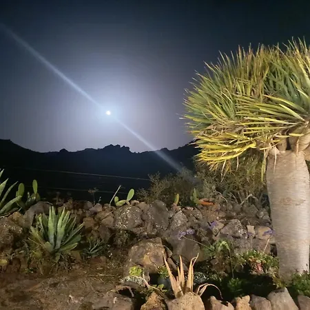 Chc - Dracaena Prázdninový dům *