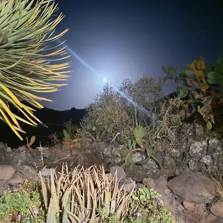 Prázdninový dům Chc - Dracaena *