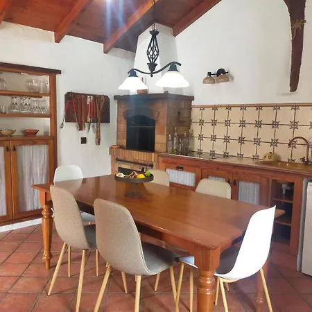 Prázdninový dům Chc - Dracaena *