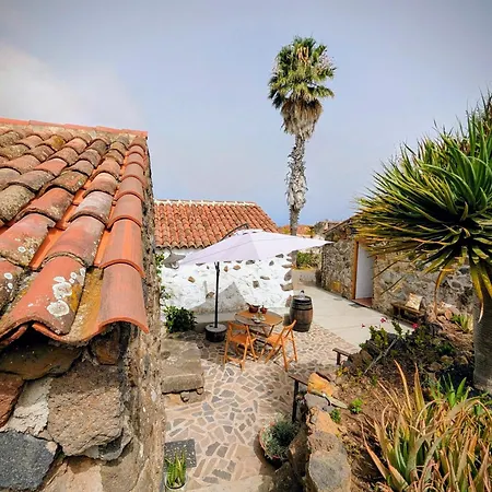 Chc - Dracaena * Buenavista Del Norte