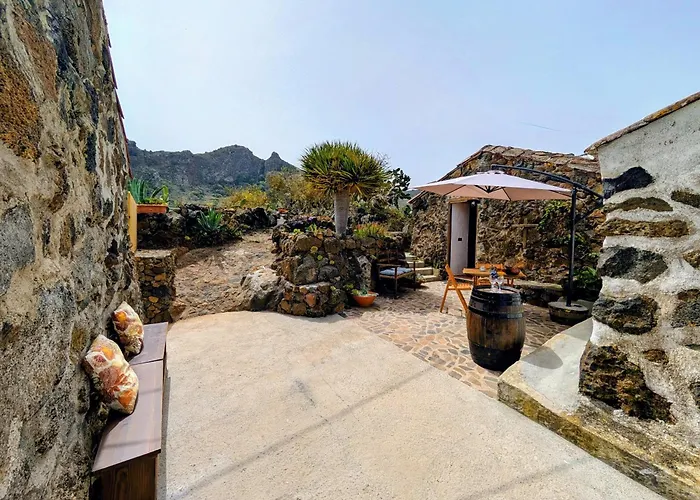 Chc - Dracaena Buenavista Del Norte