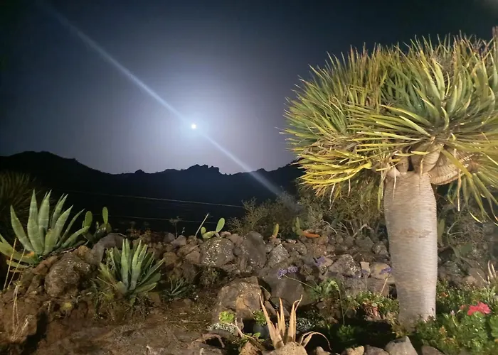 Chc - Dracaena Prázdninový dům *