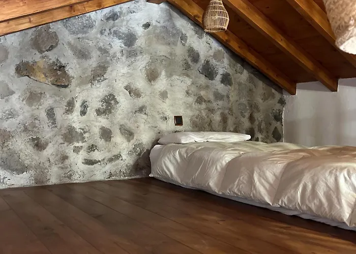 Chc - Dracaena Prázdninový dům *