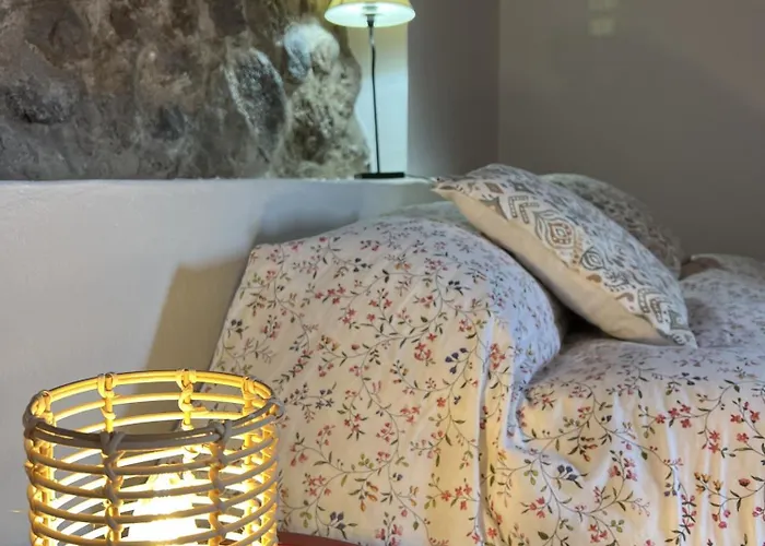 Chc - Dracaena * Buenavista Del Norte