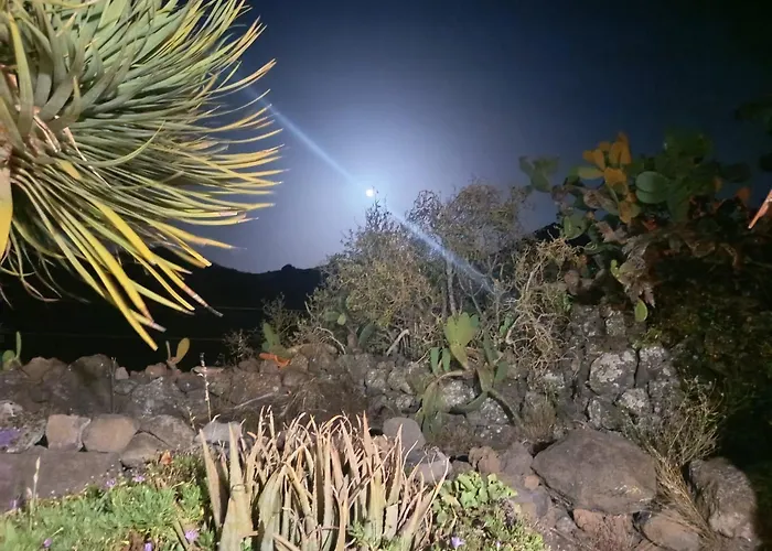 Prázdninový dům Chc - Dracaena *