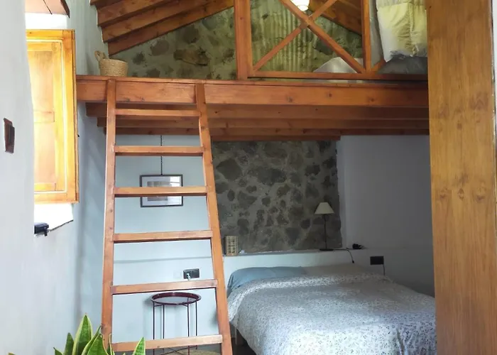 Chc - Dracaena * Buenavista Del Norte