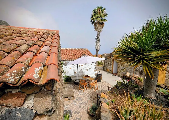 Chc - Dracaena * Buenavista Del Norte