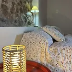 Chc - Dracaena * 布埃纳维斯塔城北