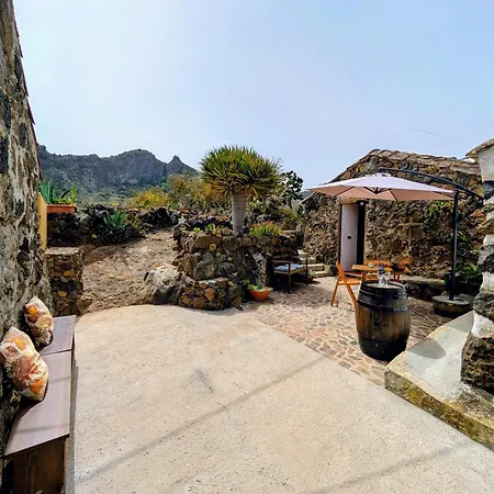 Chc - Dracaena Buenavista Del Norte