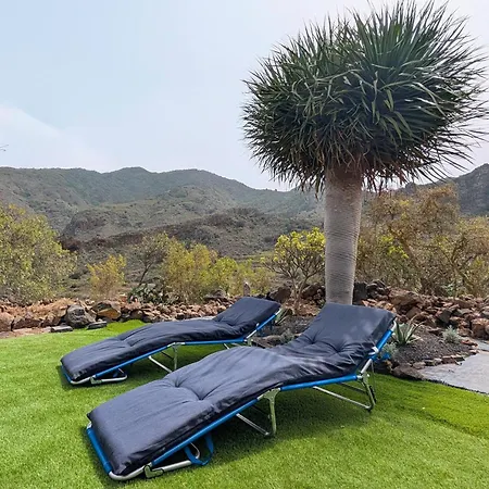 Tatil Evi Chc - Dracaena