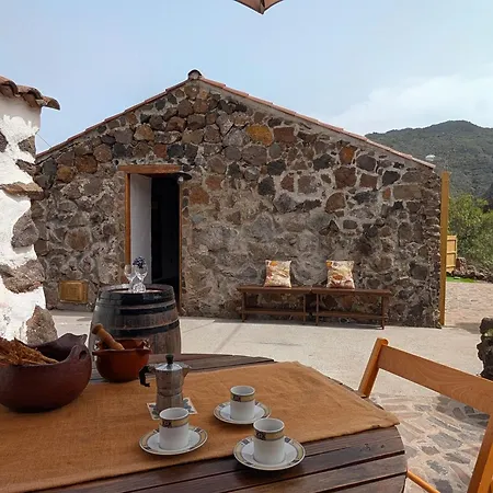 Tatil Evi Chc - Dracaena