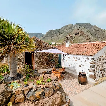 Tatil Evi Chc - Dracaena *