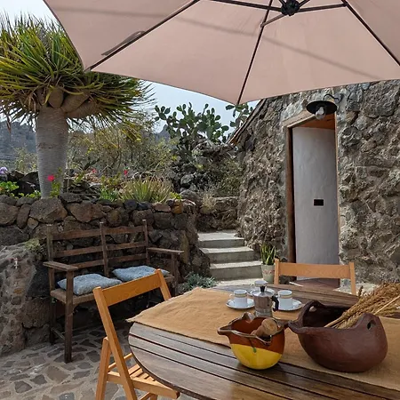 Tatil Evi Chc - Dracaena *