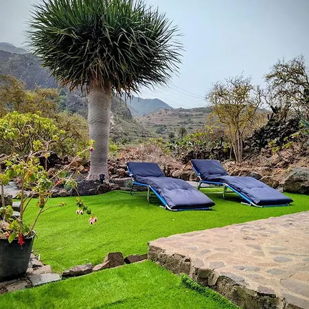 Ferienhaus Chc - Dracaena *