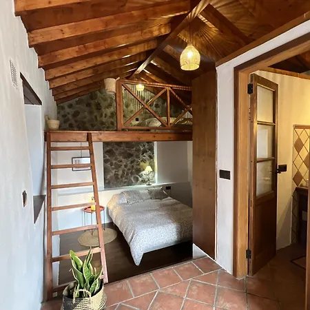 Ferienhaus Chc - Dracaena