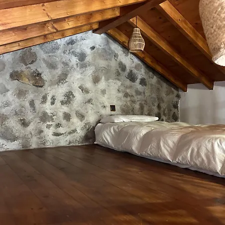 Chc - Dracaena Ferienhaus *