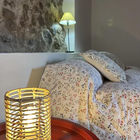 Chc - Dracaena * Buenavista Del Norte