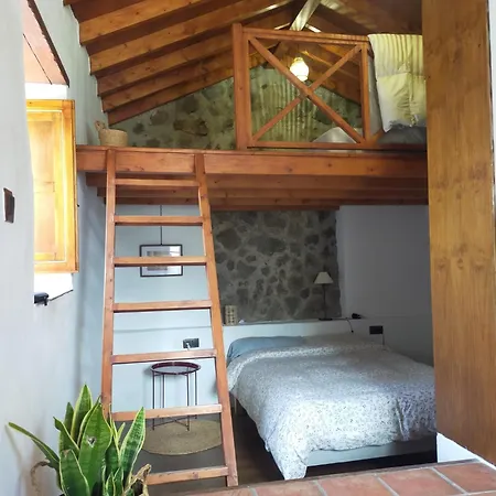 Chc - Dracaena * Buenavista Del Norte